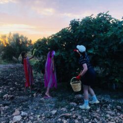 2999f0a0-2dde-4192-be94-a0a52d4ae123