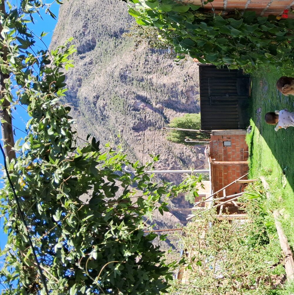 alexisdoumenzflorindez